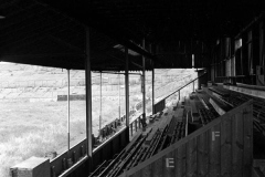 100679400_10158367971501665_8697621993479995392_n